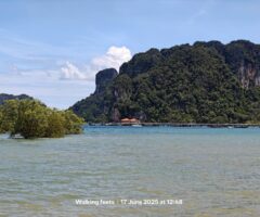 Thailand 7-Day Itinerary: How to Plan a Budget Trip Under ₹50,000 / $600 