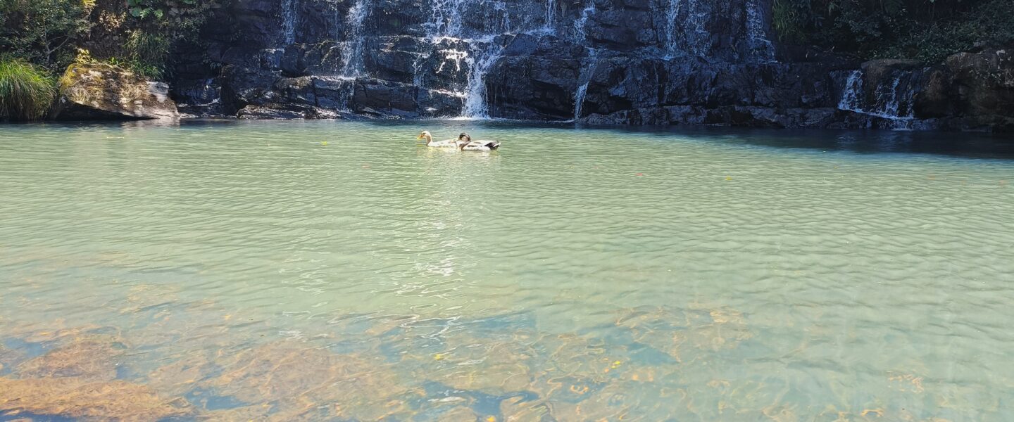 Meghalaya & Assam 7-Day Itinerary from Guwahati: Kaziranga, Shillong, Cherrapunji & Dawki Travel Guide