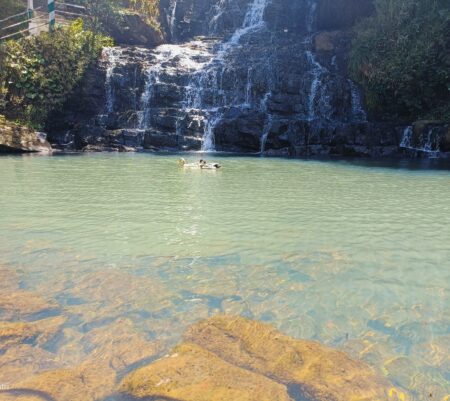 Meghalaya & Assam 7-Day Itinerary from Guwahati: Kaziranga, Shillong, Cherrapunji & Dawki Travel Guide